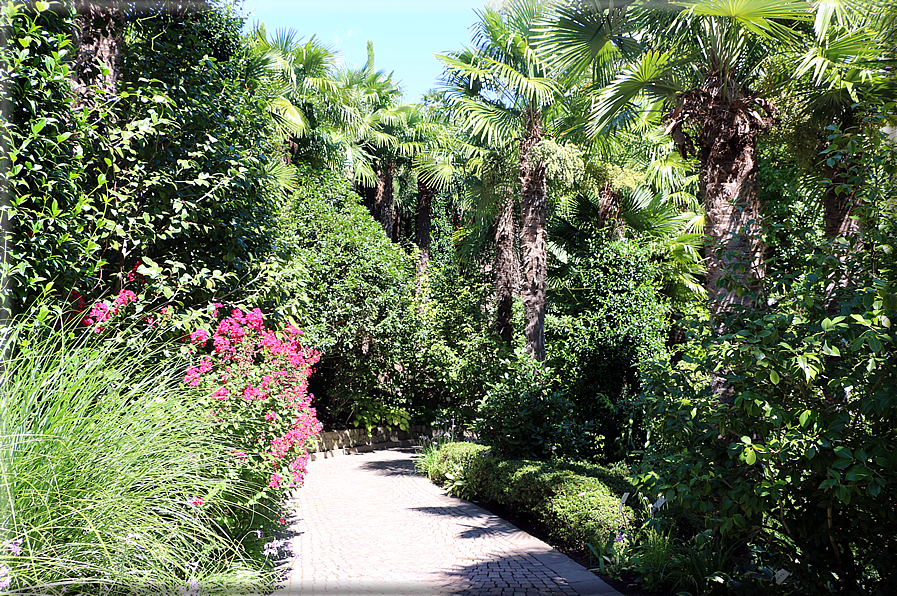 foto Giardini Trauttmansdorff - Giardini acquatici